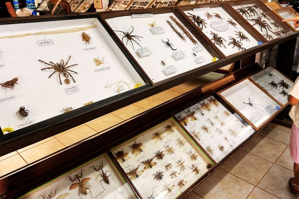 kourou-guyane-musee-espace (7) 600x400