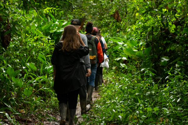 randonnee-foret-amazonienne-guyane 600x400