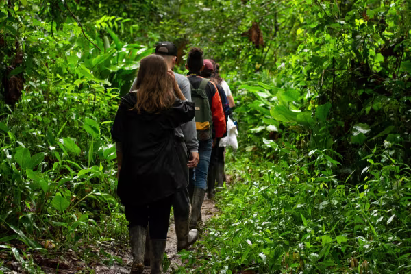 randonnee-foret-amazonienne-guyane 600x400