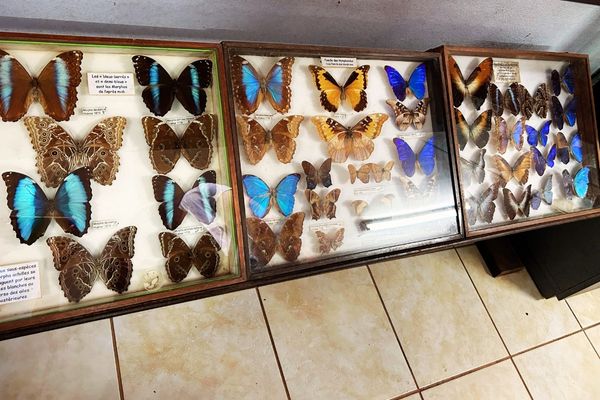 kourou-guyane-musee-espace (8) 600x400