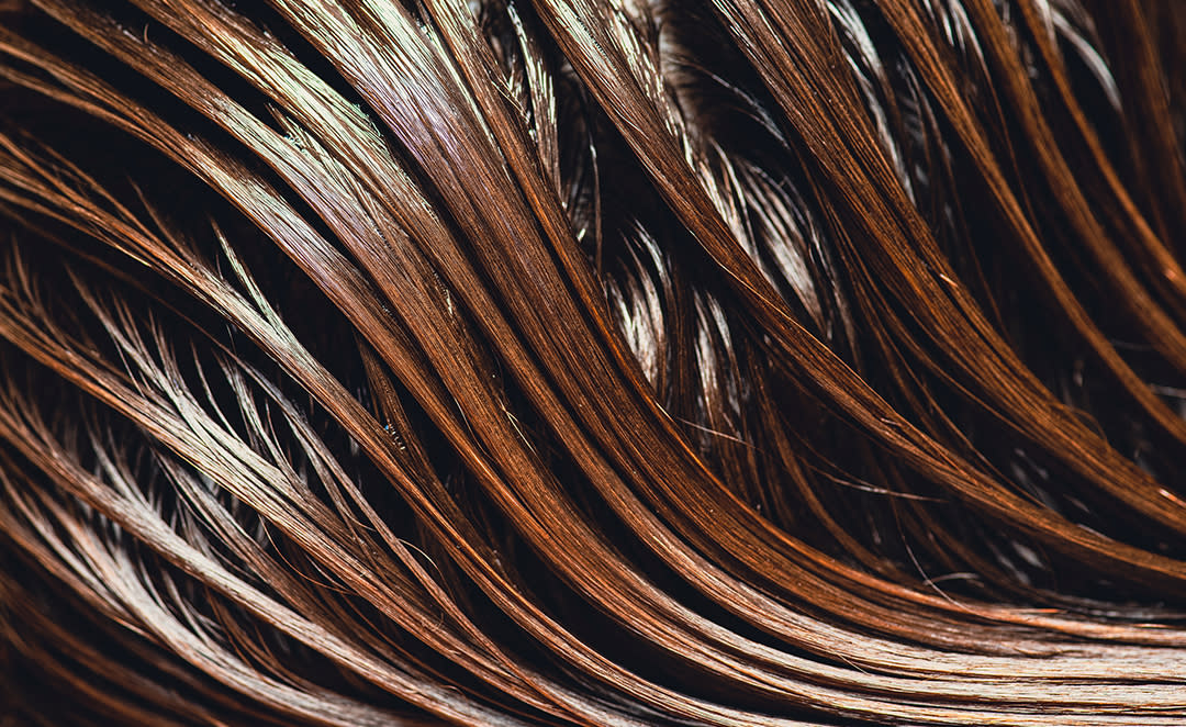 Anatomi Rambut Manusia - Pantene