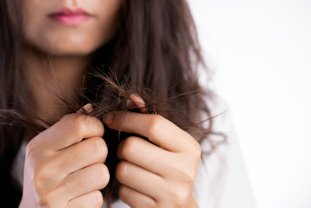 women hand holding damaged long hair