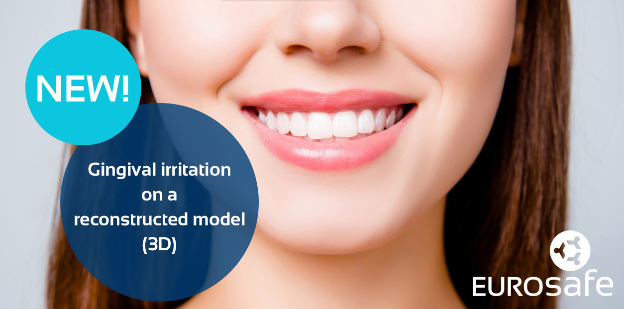 Gingival irritation on a reconstructed model (3D)