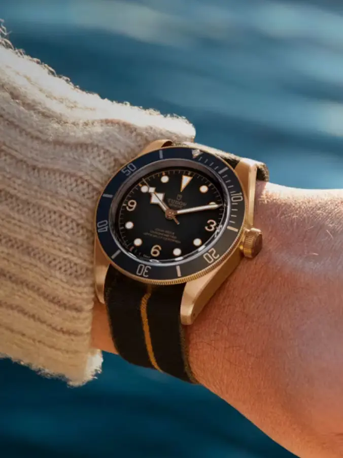Tudor - Collection - BLACK BAY BRONZE