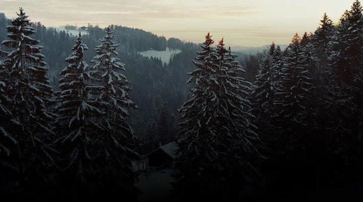 Rudis Sylva Brand History