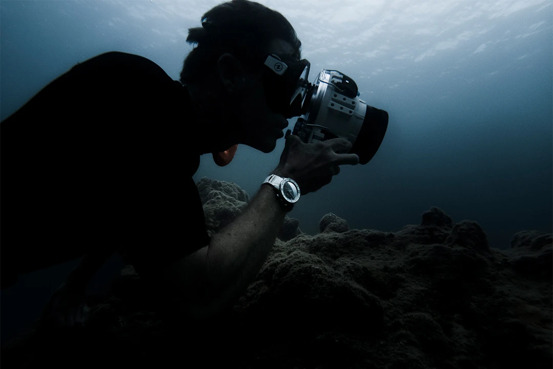 Diver Chronograph 44 Mm Great White Limited Edition