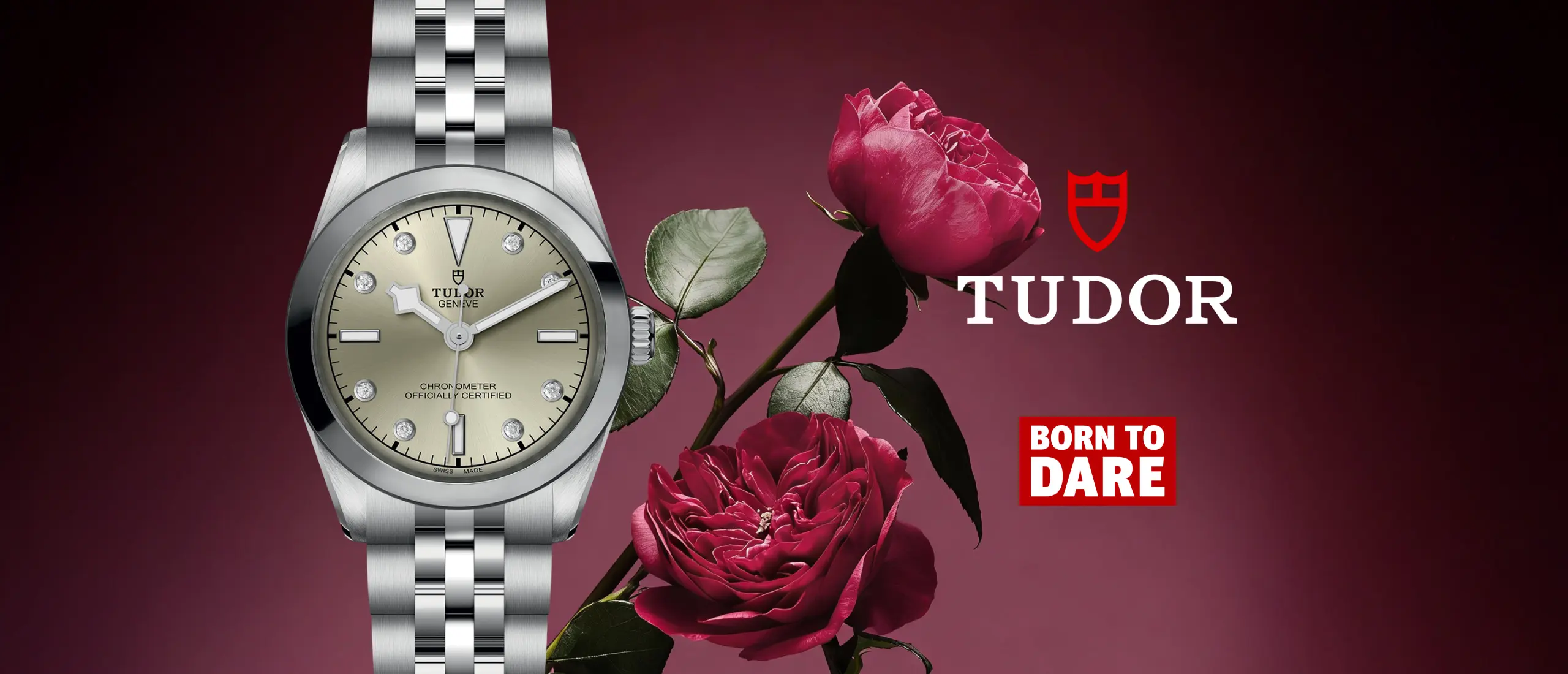 Tudor February 2026 Banner - Desktop