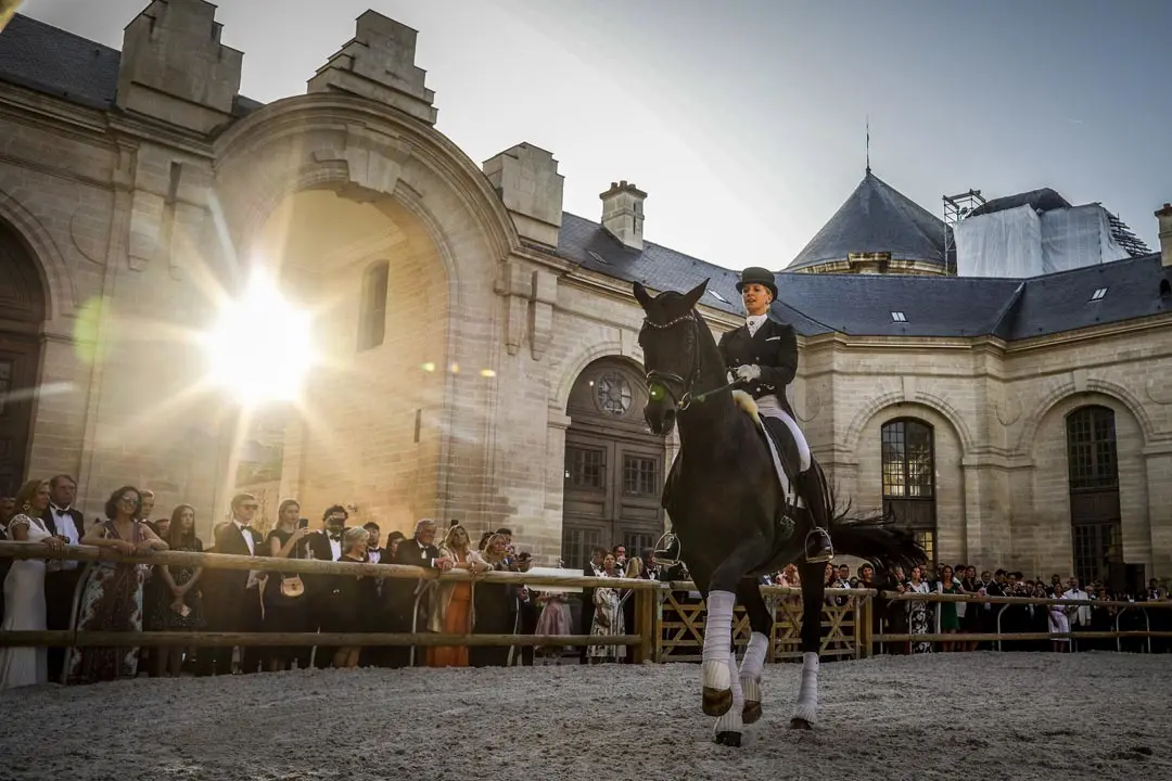 Chantilly Arts & Élégance Richard Mille 2019