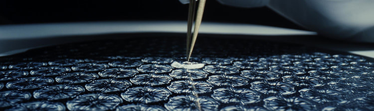 Ulysse Nardin Blast Tourbillon Rainbow and The Lady Diver Rainbow