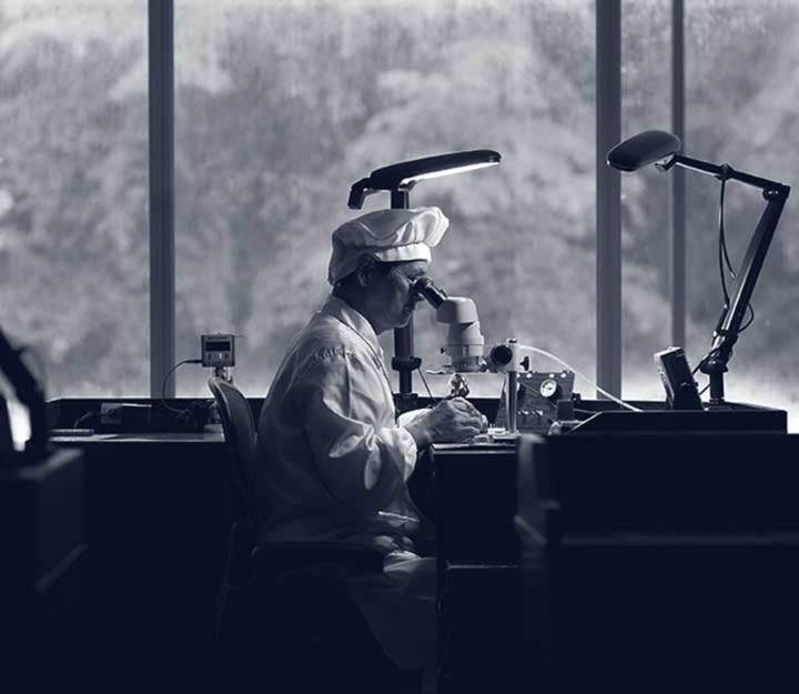 Grand Seiko Watches Brand History