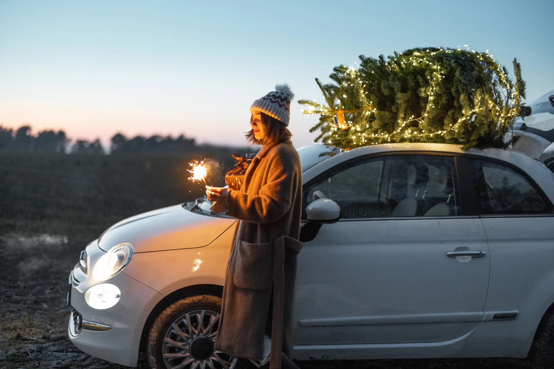 3 ways to get your EV winter-ready