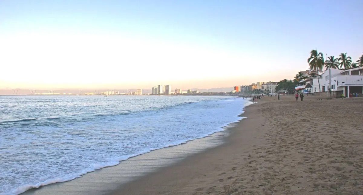 location image8