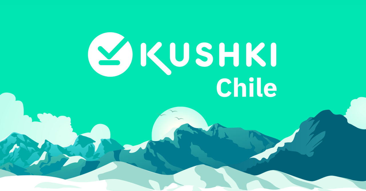 Kushki Aportará Experiencia Y Agilidad A La Industria Fintech En Chile ...