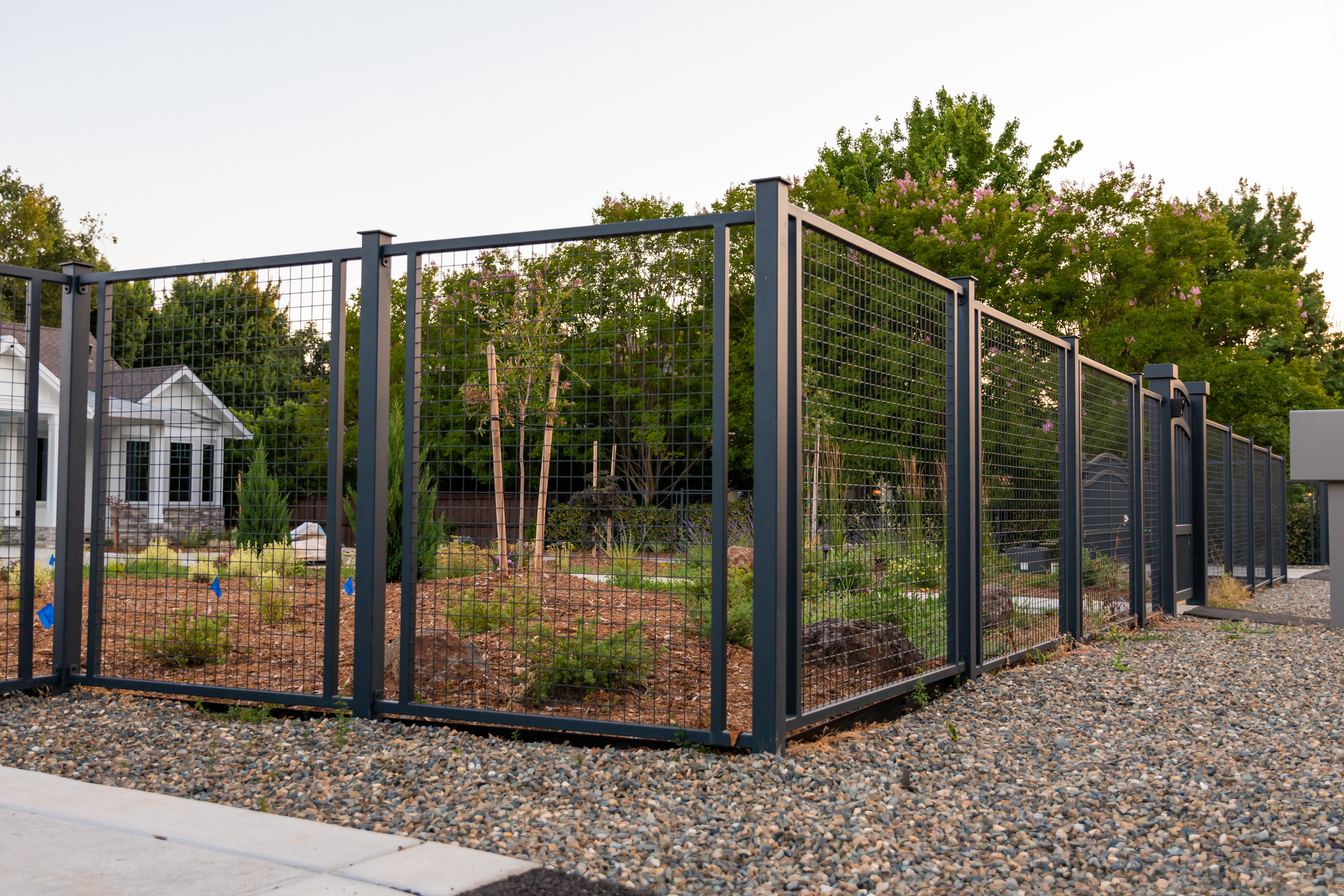 OS Berrendo Drive -162