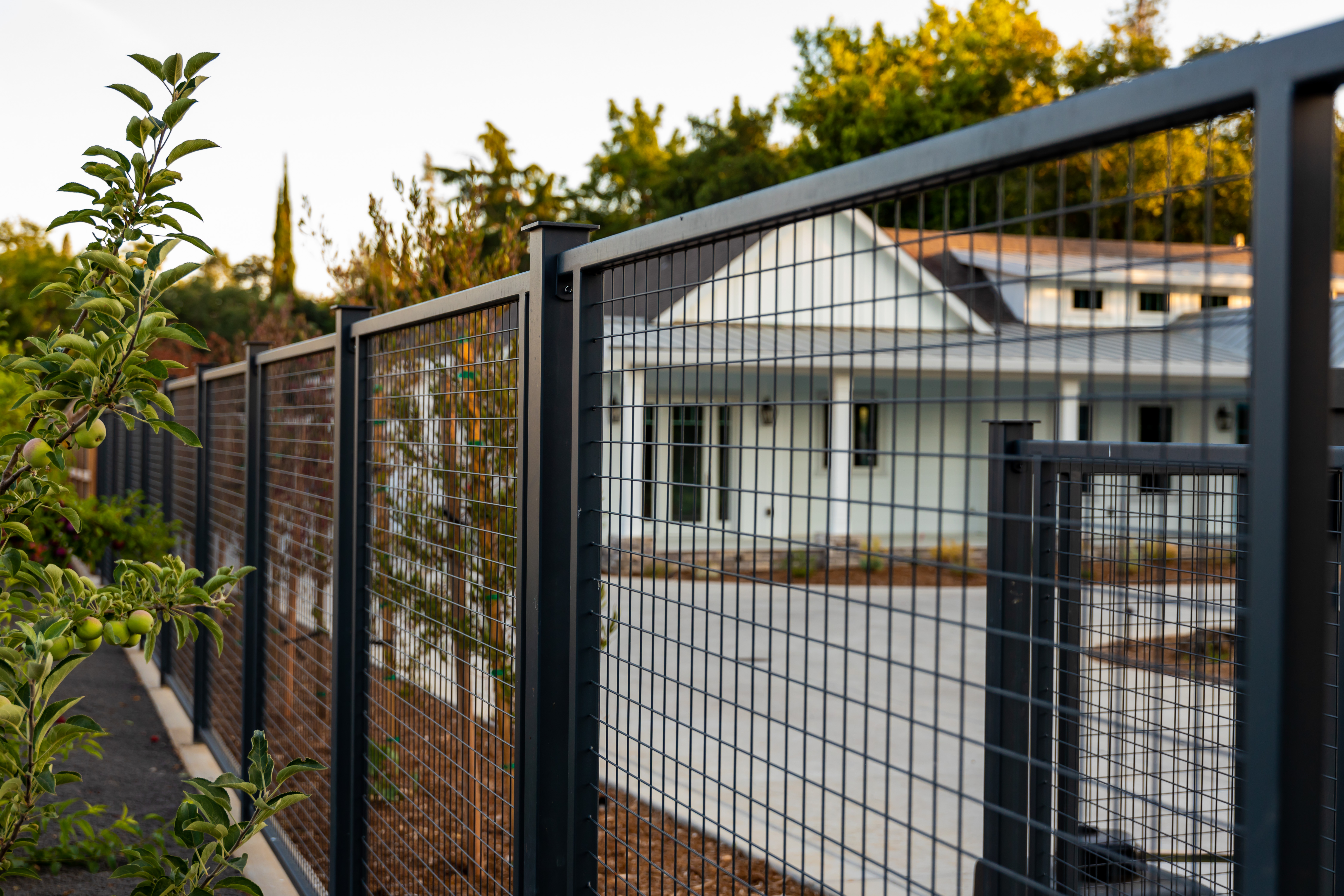 OS Berrendo Drive -67