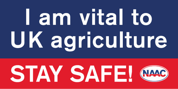 I am vital safety campaign 