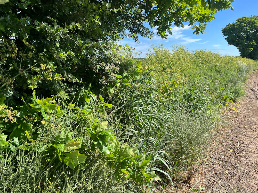 Are you the next generation Agricultural Productivity Group (APG) farming representative? 