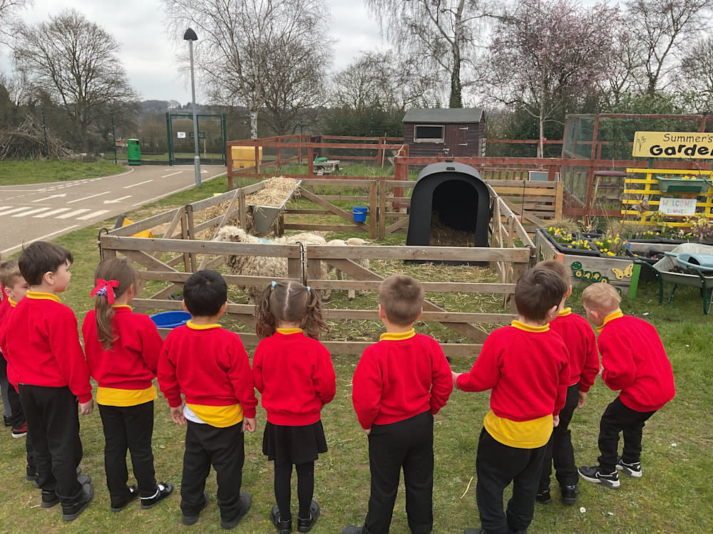 YFCs encouraged to get involved in Learn about Livestock Week 