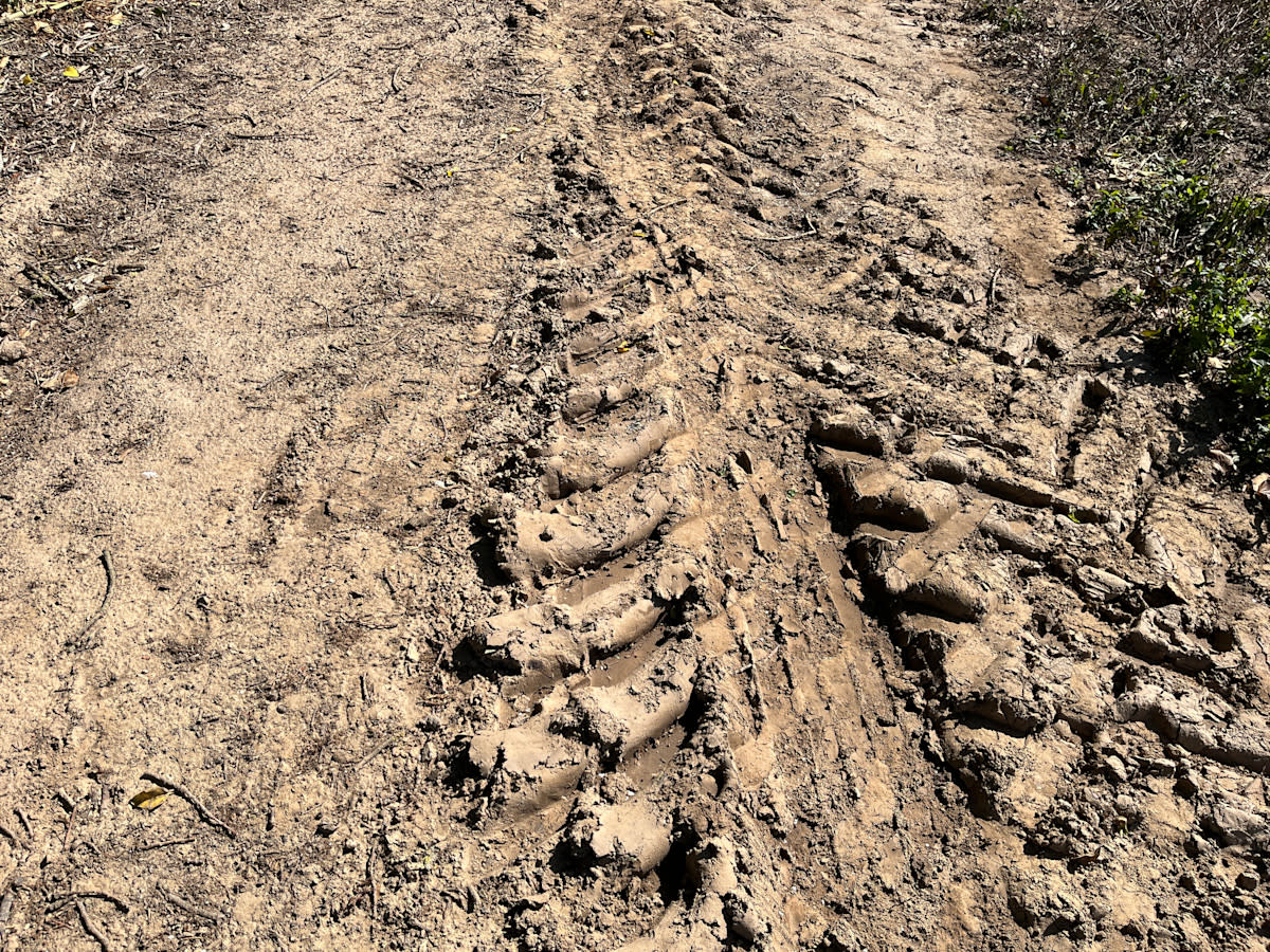 5 ways to improve soil health for better farming 