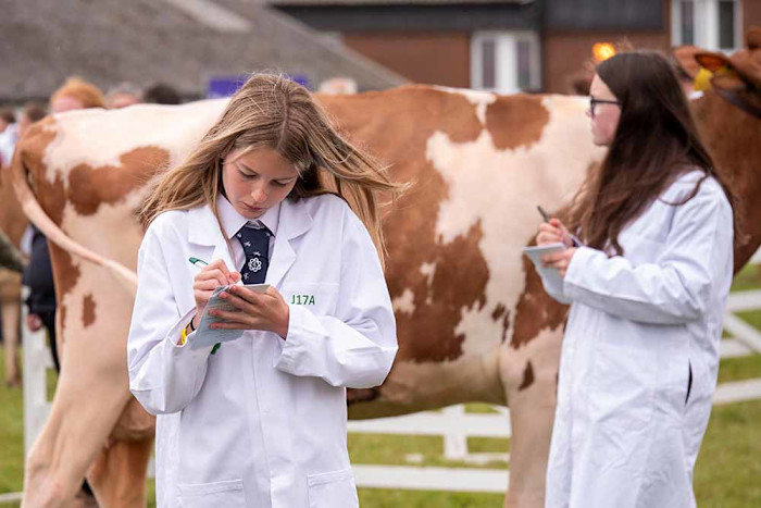 Develop Stockjudging Skills