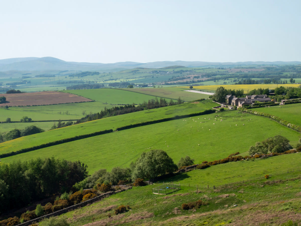 Young Farmers share AGRI Ambition Paper for the future of farming 