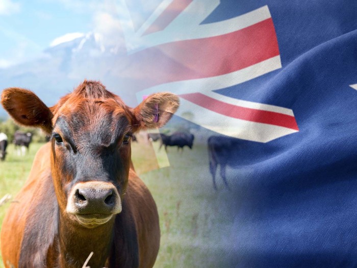 Richard Wigram Dairy Scholarship (New Zealand)