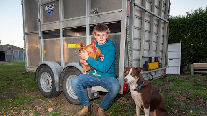 Joe, Lincolnshire 