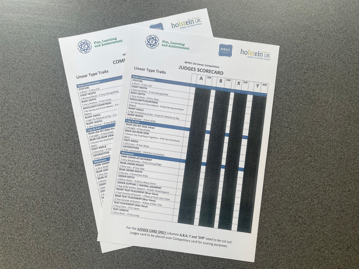 Linear Assessment Cards (1 Card)