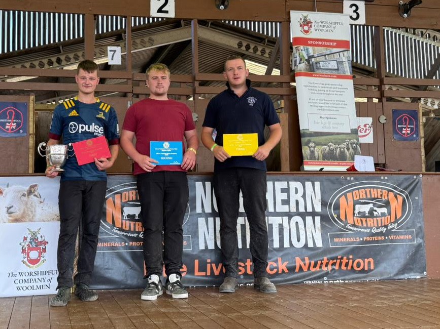 Sheep Shearing competition improves shearing skills