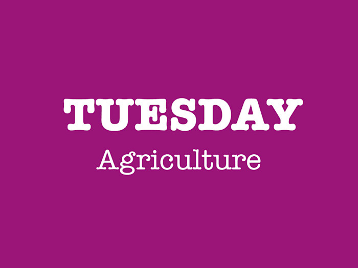 Tuesday 6 October 