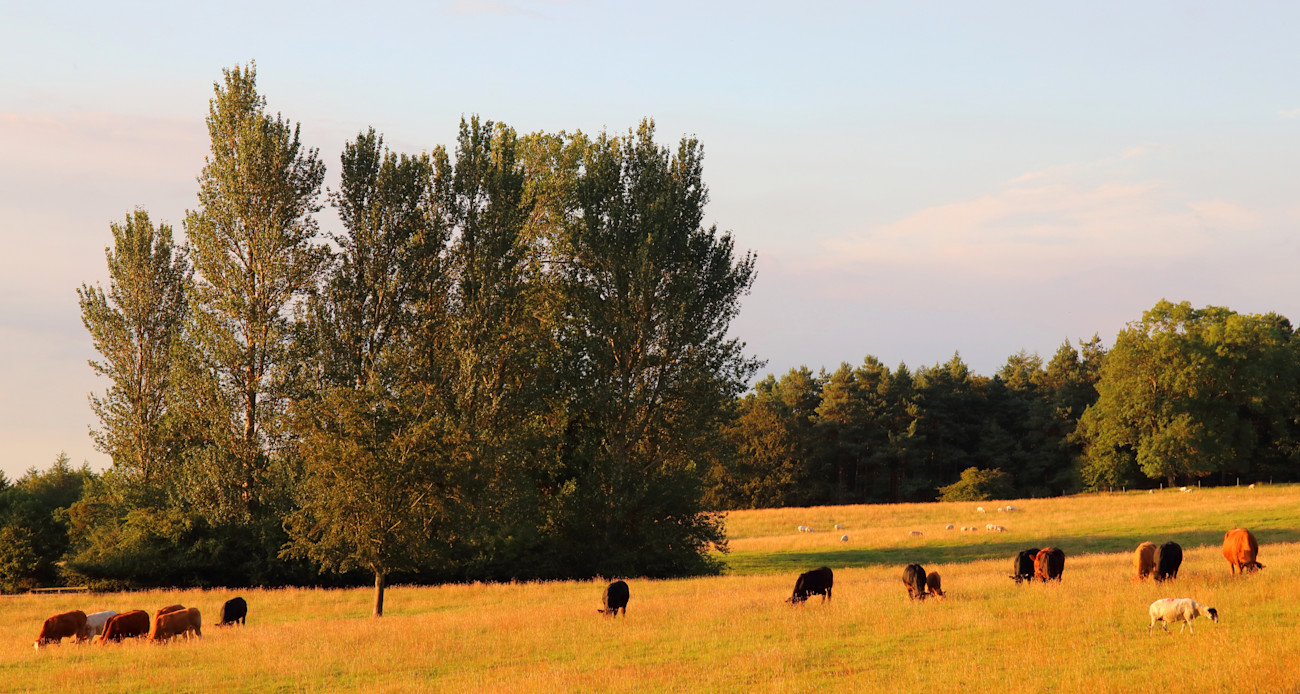 Drought implications for farmers and YFC activities 