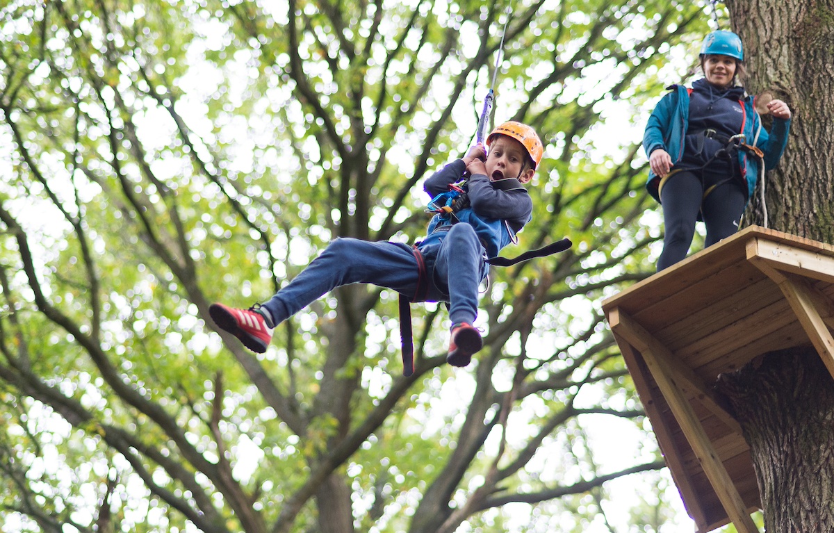 Oaker Wood - high ropes