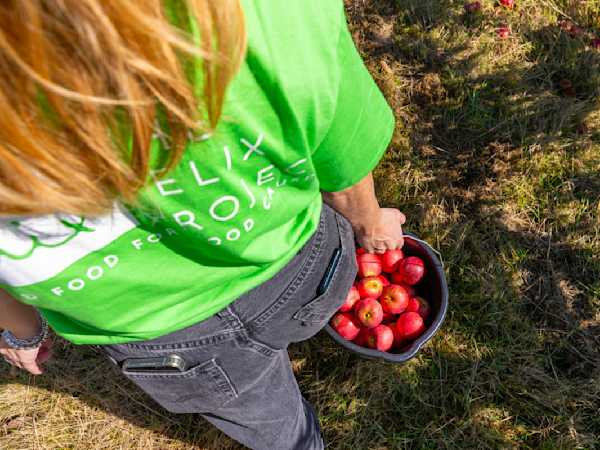 Learn more about supporting food redistribution