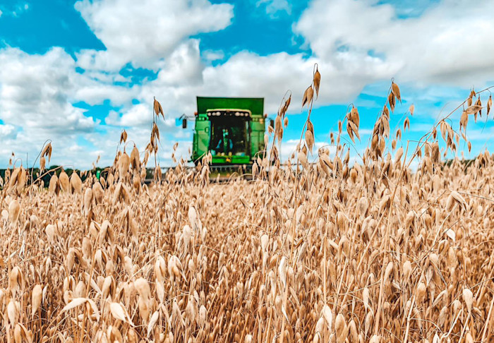 Farming during a heatwave