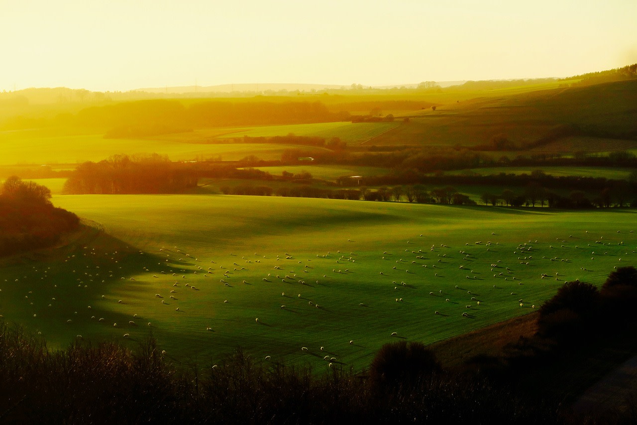 Launch of The Agricultural Landlord and Tenant Code of Practice 