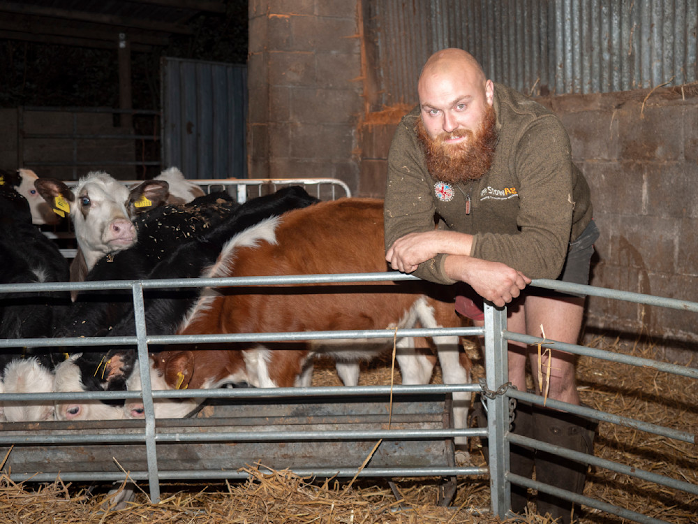 James O Neill with cows