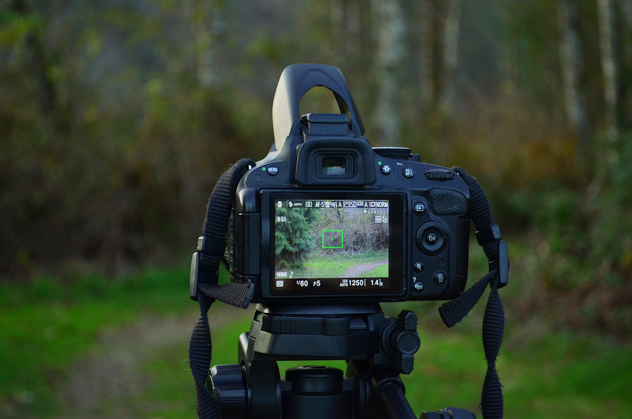 Filmmaking opportunity for Young Farmers