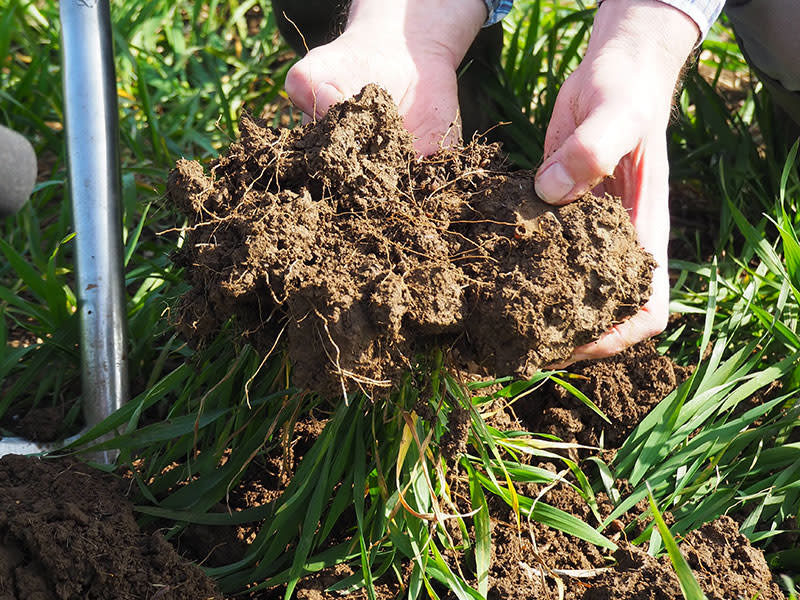 5 ways to improve soil health for better farming 