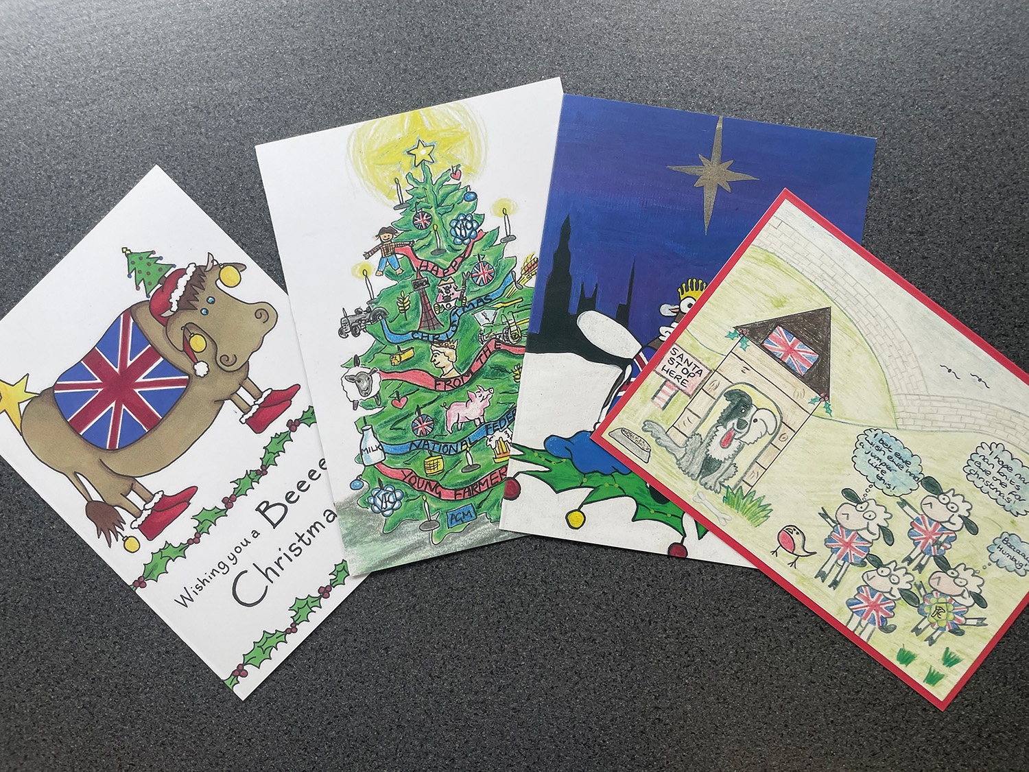 Christmas Cards (Pack of 12)