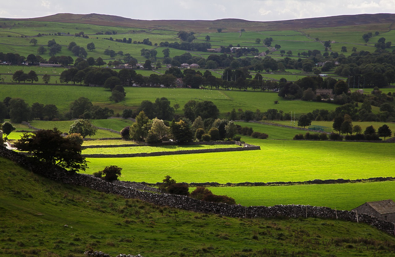 Free business help for farmers and land managers 