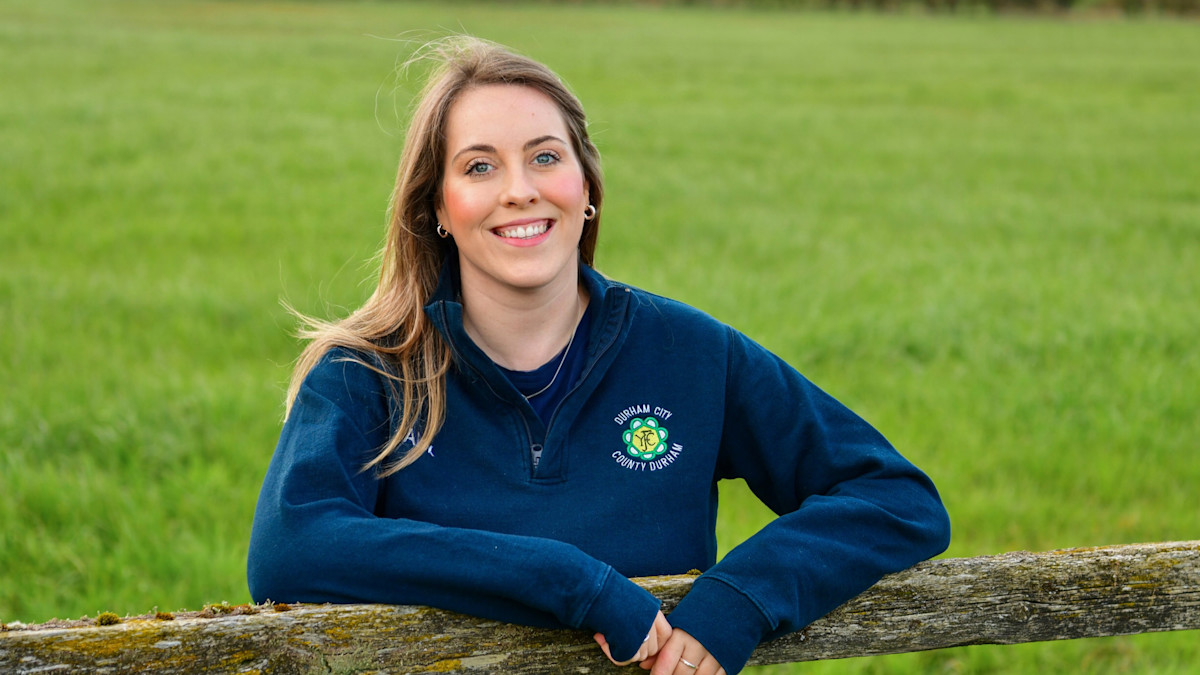 Alex McMenemy - elections