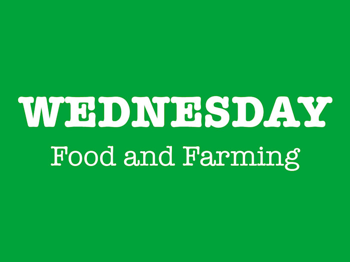 Wednesday 8 October 