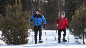Terveyttä talvesta liikuntakurssi 23.-25.1.2023