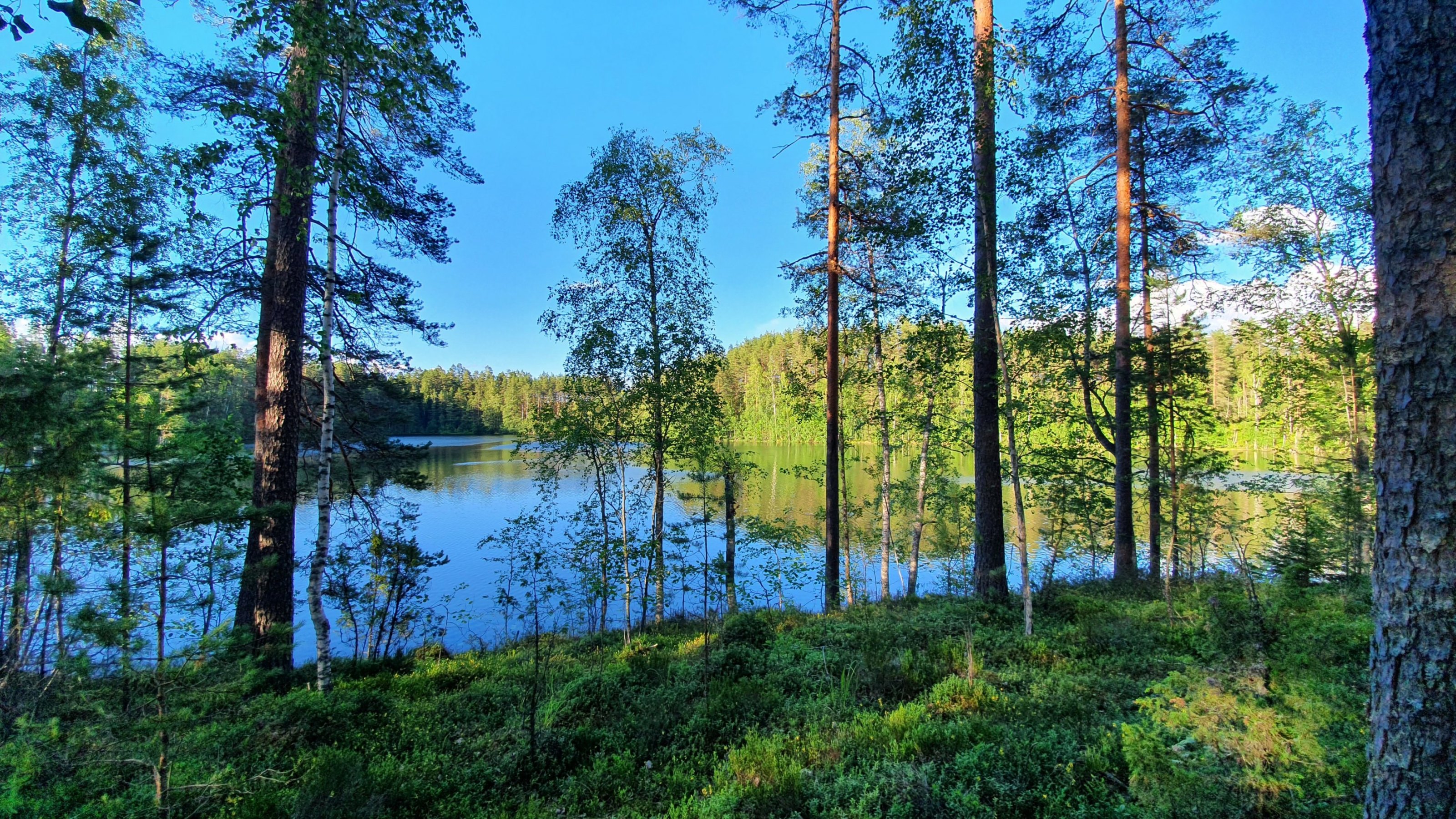 Luontoliikunta- ja retkeilyreitit