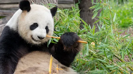 Zoo