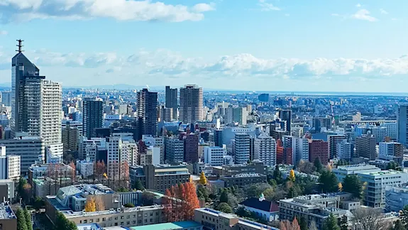 Skyline der Stadt Halle