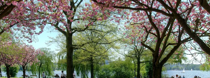 Harburger Stadtpark