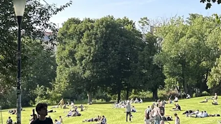 Contipark DE/POI Weinbergspark header