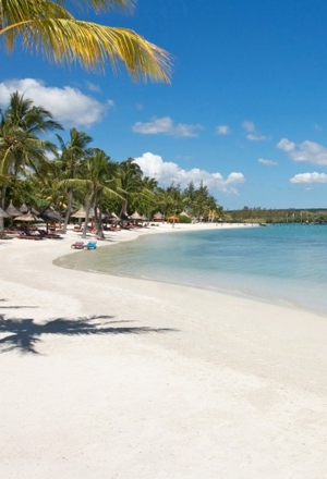 Scenes From The Indian Ocean