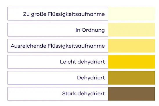 Worauf deutet die Farbe des Urins